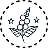 coffee fruit icon