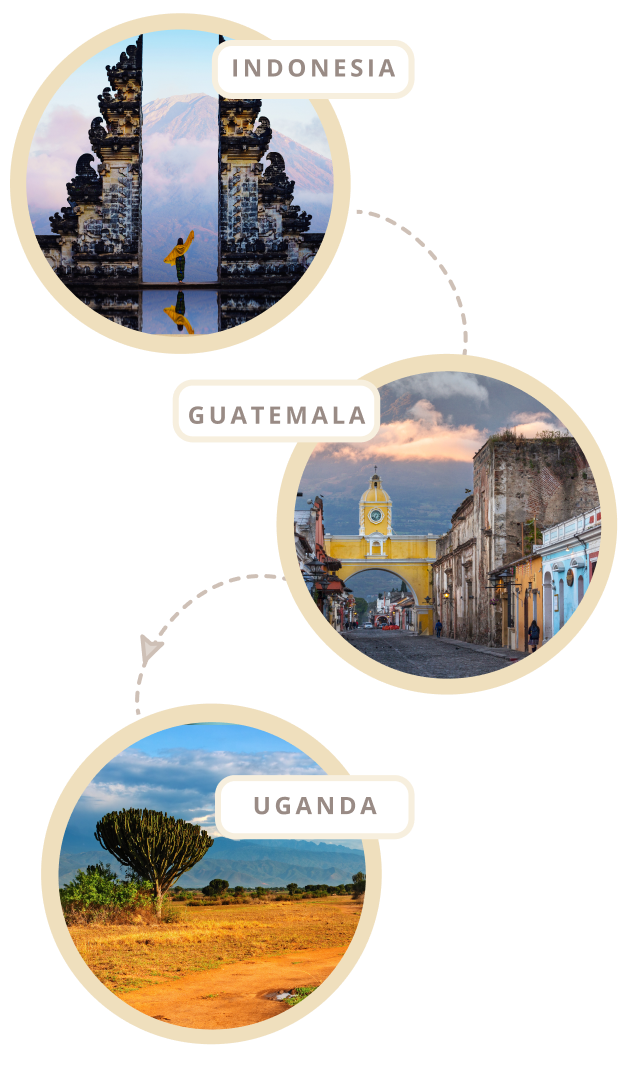 Every month, discover tea from a new country like Indonesia, Guatemala and Uganda.