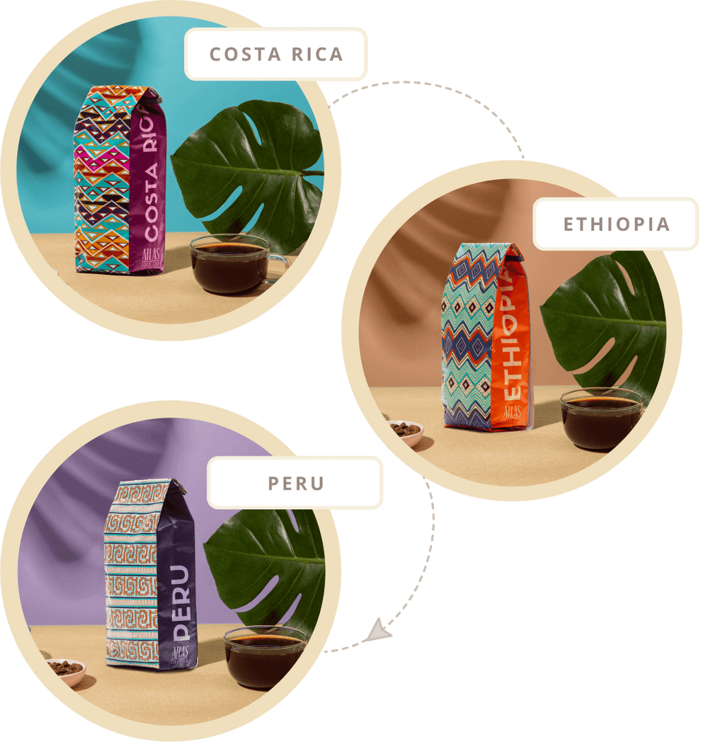 Every month, discover coffee from a new country like Costa Rica, Ethiopia and Peru.