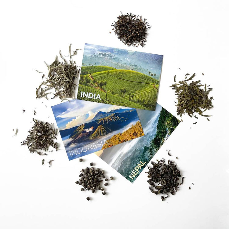 Tea World Tour Addon